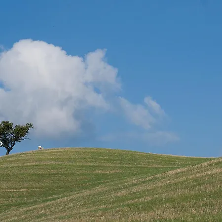 Farm stay Girasole - Le Selvole *
