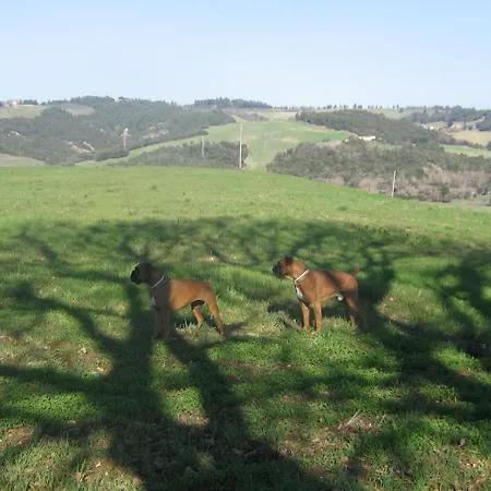 Farm stay Girasole - Le Selvole Pomarance