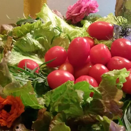 Girasole - Le Selvole Farm stay *