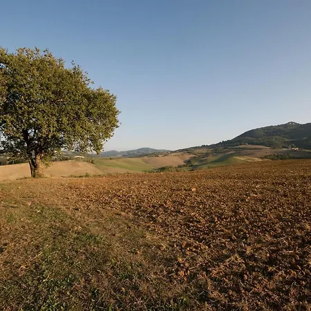 Girasole - Le Selvole Farm stay Pomarance