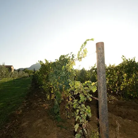 Farm stay Girasole - Le Selvole *