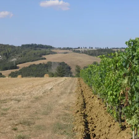 Farm stay Girasole - Le Selvole *