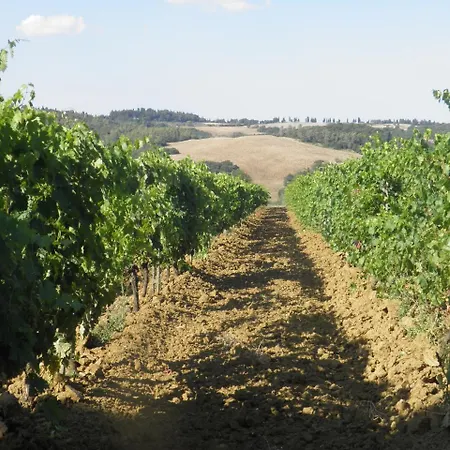 Farm stay Girasole - Le Selvole